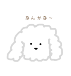 プードルのモコくん（個別スタンプ：20）