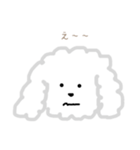 プードルのモコくん（個別スタンプ：21）
