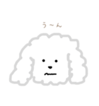 プードルのモコくん（個別スタンプ：24）
