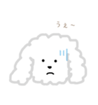 プードルのモコくん（個別スタンプ：25）