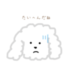 プードルのモコくん（個別スタンプ：28）