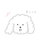 プードルのモコくん（個別スタンプ：29）