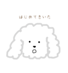 プードルのモコくん（個別スタンプ：30）
