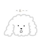 プードルのモコくん（個別スタンプ：31）