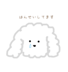 プードルのモコくん（個別スタンプ：39）
