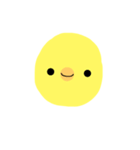 まあるいひよこ（個別スタンプ：1）