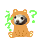 よんよんのフレンズ（個別スタンプ：12）