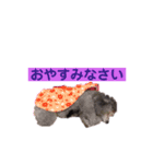 トイプードル♪フェイマス 第2弾（個別スタンプ：16）