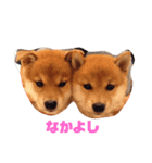 はりー＆灸（個別スタンプ：8）