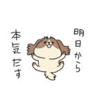 まっすんのスタンプ（個別スタンプ：40）