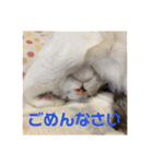 たまとまろ時々ミルク（個別スタンプ：6）