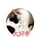 たまとまろ時々ミルク（個別スタンプ：10）