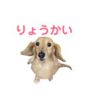 たまとまろ時々ミルク（個別スタンプ：28）