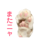 たまとまろ時々ミルク（個別スタンプ：33）
