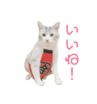たまとまろ時々ミルク（個別スタンプ：35）