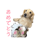 たまとまろ時々ミルク（個別スタンプ：39）