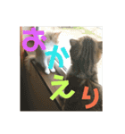 ひこ＆くー（個別スタンプ：3）