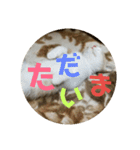 ひこ＆くー（個別スタンプ：4）