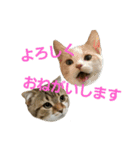 ひこ＆くー（個別スタンプ：5）