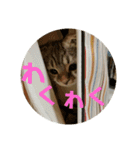 ひこ＆くー（個別スタンプ：13）