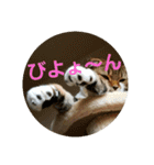 ひこ＆くー（個別スタンプ：24）