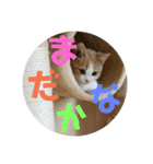 ひこ＆くー（個別スタンプ：25）