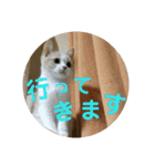 ひこ＆くー（個別スタンプ：33）