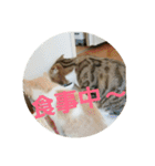 ひこ＆くー（個別スタンプ：40）