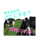 肉食女子による本気の肉大好きスタンプ（個別スタンプ：24）