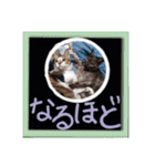 シーズー親子のまいにち（個別スタンプ：22）