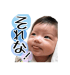 はるくんの日常すたんぷ（個別スタンプ：5）