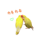 うちのインコさんと友だち（個別スタンプ：9）