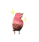 うちのインコさんと友だち（個別スタンプ：11）