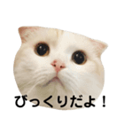 きなもなスタンプ（個別スタンプ：9）