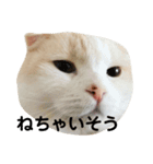 きなもなスタンプ（個別スタンプ：11）