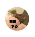 ねこのティナさんスタンプ①（個別スタンプ：13）