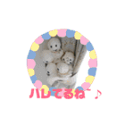 ssssstampsssss1（個別スタンプ：9）