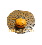 ssssstampsssss1（個別スタンプ：12）