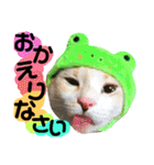 猫舌にゃんず5ちょっとだけ敬語（個別スタンプ：8）