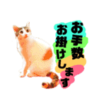 猫舌にゃんず5ちょっとだけ敬語（個別スタンプ：11）