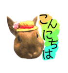 猫舌にゃんず5ちょっとだけ敬語（個別スタンプ：13）
