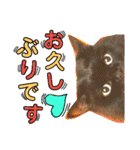 猫舌にゃんず5ちょっとだけ敬語（個別スタンプ：14）