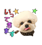 猫舌にゃんず5ちょっとだけ敬語（個別スタンプ：20）