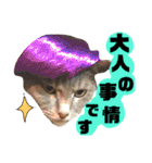 猫舌にゃんず5ちょっとだけ敬語（個別スタンプ：22）
