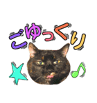 猫舌にゃんず5ちょっとだけ敬語（個別スタンプ：27）