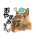 猫舌にゃんず5ちょっとだけ敬語（個別スタンプ：32）