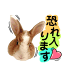 猫舌にゃんず5ちょっとだけ敬語（個別スタンプ：37）