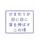 時候の挨拶シリーズ（7月・8月編）（個別スタンプ：11）