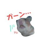 うちのハム子さん（個別スタンプ：22）
