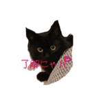 はるくん、ぷちゃん（個別スタンプ：7）